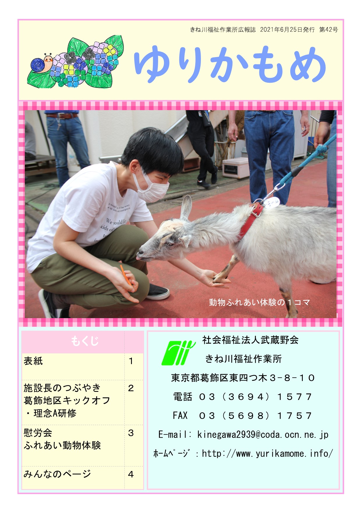 第42号　ゆりかもめ